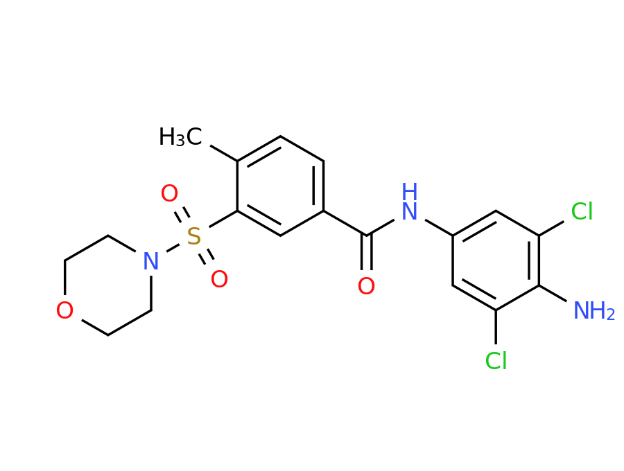 Structure Amb19205560