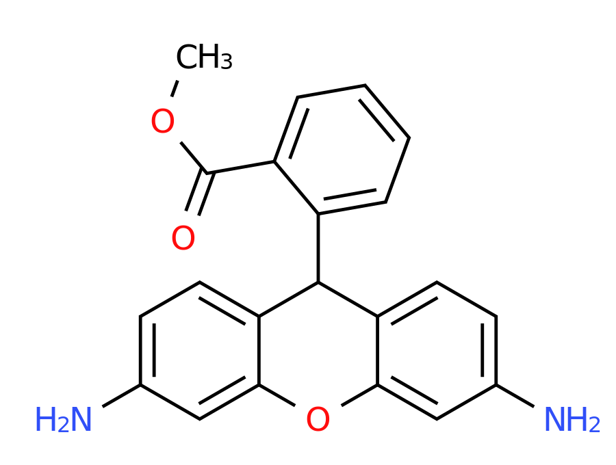 Structure Amb19930830