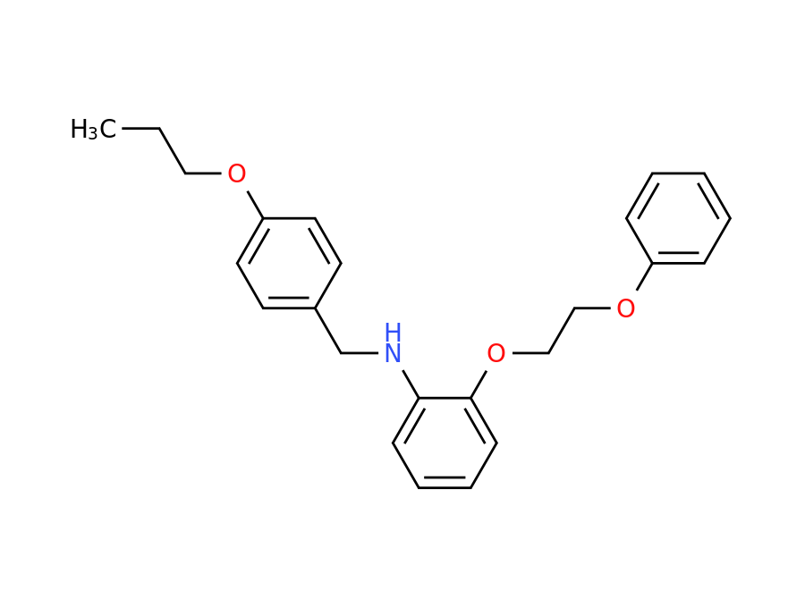 Structure Amb19965554