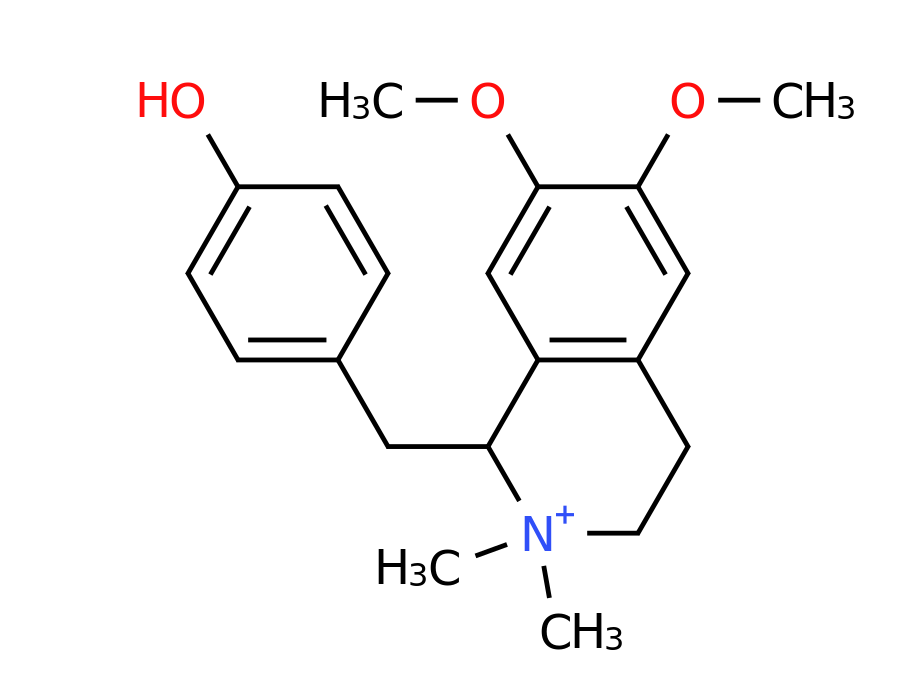 Structure Amb555827